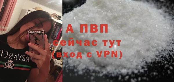 сатива Волосово