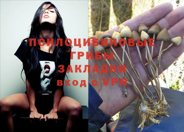 сатива Волосово