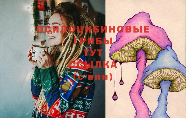 jwh Тобольск