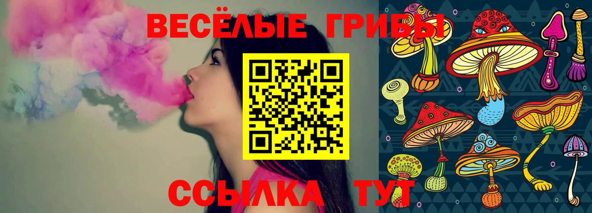 Гагарин  Псилоцибиновые грибы прущие грибы  Псилоцибиновые грибы Magic Shrooms  Вход с VPN 