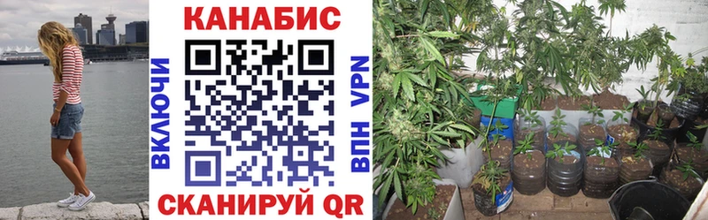 МАРИХУАНА ГИДРОПОН  наркошоп  Гагарин 